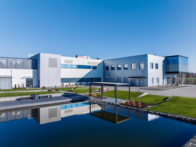 glowne_11zon